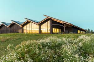 Paul PINTARD - PINTARD PHOTOGRAPHIE